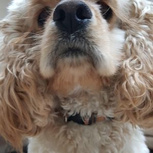 Meet your Posher, Janell